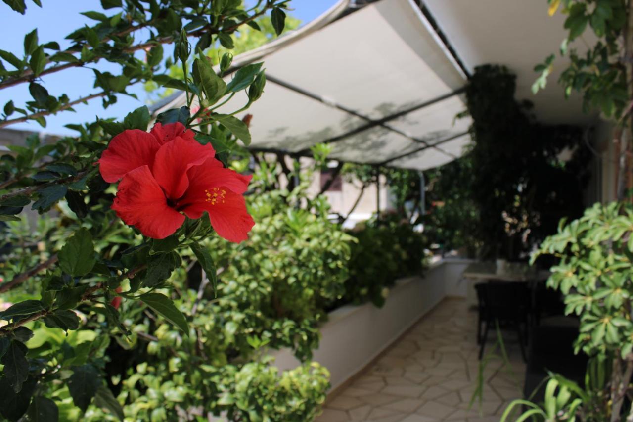 Apartments & Rooms Anita Χβαρ Εξωτερικό φωτογραφία